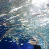 魔都上海2日游攻略推荐3