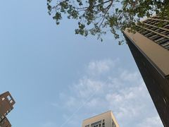 -眷茶(赛格国际购物中心店)