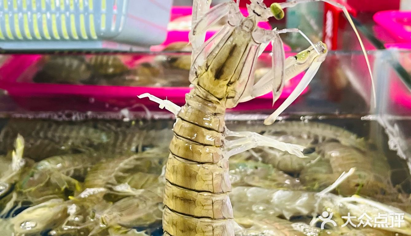 海口海鲜｜望海楼隔壁‼️竟然可以吃到新鲜现捞海鲜🐟