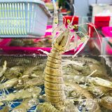 海口海鲜｜望海楼隔壁‼️竟然可以吃到新鲜现捞海鲜🐟