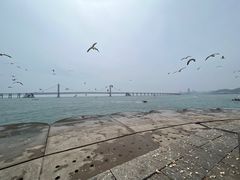 -星海广场