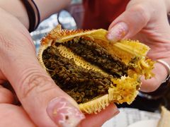 海星-大锅强·蒸海鲜青岛菜(吾悦广场店)