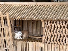 -宁波九龙湖开元度假村
