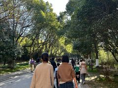 -南京市江宁方山