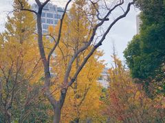 景点-静安雕塑公园