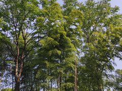 -天目湖御水温泉·度假酒店