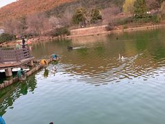 -无锡动物园·太湖欢乐园