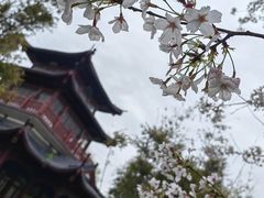 -堤角公园