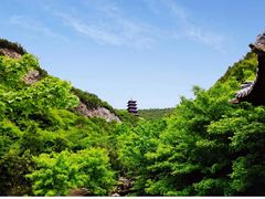 -太山博物馆(太山景区)