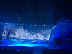 -华夏文旅海洋公园