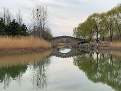 -大兴滨河森林公园