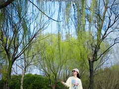 -尚贤河湿地