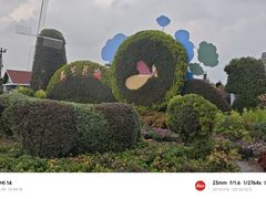 -荷兰花海