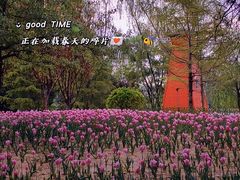-迎泽公园