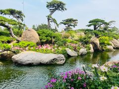 -罗红摄影艺术馆