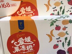-眉州东坡(远洋未来广场店)