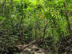-西双版纳基诺山寨