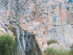 -西霞口神雕山野生动物世界