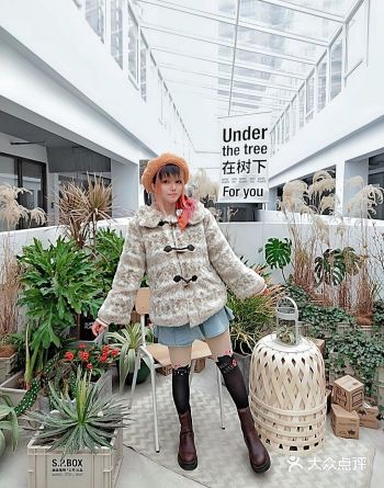 抛开“负能量”有趣的植物便利店