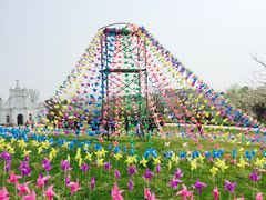 -杭州湾海上花田景区