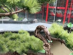 -老山东·山东菜(鲁菜名店)