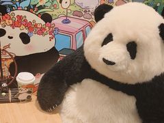 -轩客会(熊猫书店)