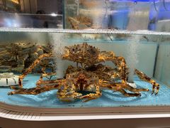 -同庆楼(滨湖万达广场店)