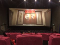 -保定金棕榈先天下国际影城(LUXE)