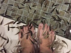 鱼疗-中家鑫园温泉酒店鑫悦汤泉