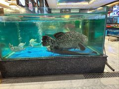 -聚福宝合苑食府(南头镇店)