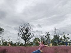 -南通鲜花小镇