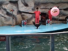 -泉州海丝野生动物世界