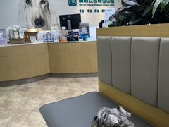 -美联众合动物医院·24h转诊中心