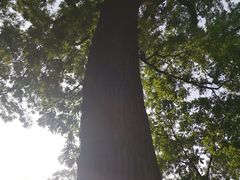 -北京上方山国家森林公园