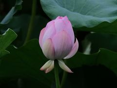 -重元寺