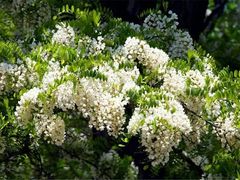 -龙口南山旅游景区