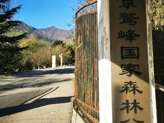 -北京鹫峰国家森林公园