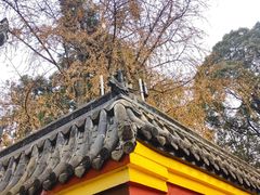 -宝光寺