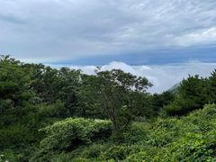 -泰山风景名胜区