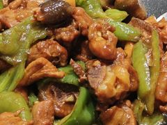 茶油炒土鸡-一宽宽宴(白浮泉路店)