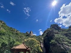-大岭沟猕猴桃谷风景区