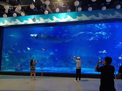 -烟台海昌鲸鲨海洋公园