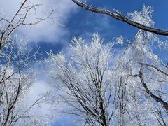 -中旅松花湖滑雪场
