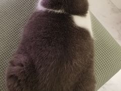 -金新街边打边炉(天安花园店)