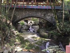 -藏龙百瀑风景区