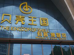 -贝壳王国博物馆