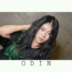 -ODIN 奥丁形象设计 