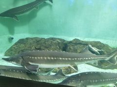-中央电视塔旋转餐厅