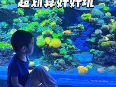 -太平洋海底世界