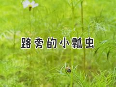 -阳澄湖半岛旅游度假区